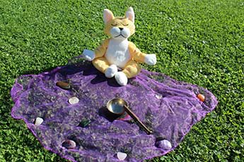 Bild von meditierender Plüschkatze auf Wiese